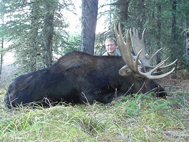 Buck Moose