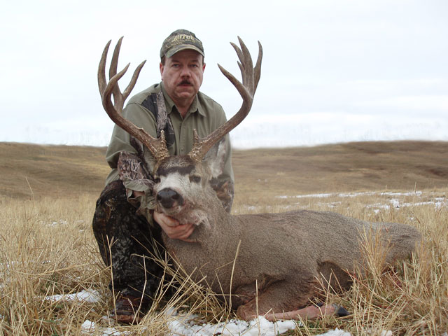 Alberta Mule Deer