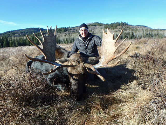 Photo of Nick Summers' 2015 Alberta Trophy Shiras Moose