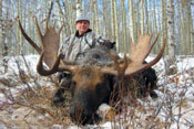 photo of 50 inch trophy shiras bull moose