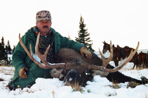 Elk hunt cheap